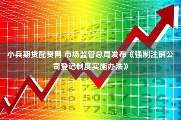 小兵期货配资网 市场监管总局发布《强制注销公司登记制度实施办法》