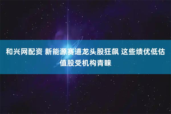 和兴网配资 新能源赛道龙头股狂飙 这些绩优低估值股受机构青睐