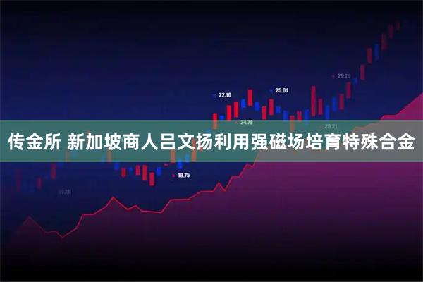 传金所 新加坡商人吕文扬利用强磁场培育特殊合金