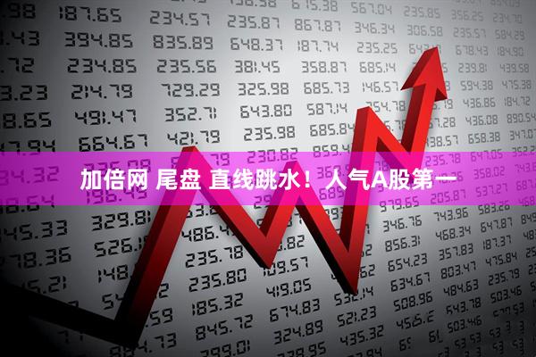 加倍网 尾盘 直线跳水！人气A股第一