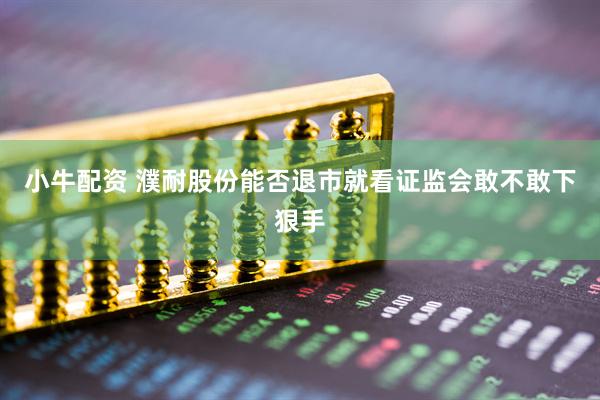 小牛配资 濮耐股份能否退市就看证监会敢不敢下狠手